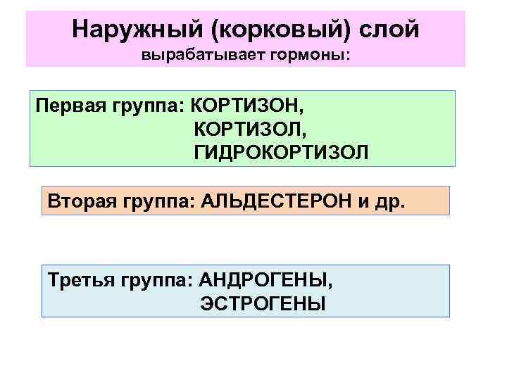 Наружный (корковый) слой вырабатывает гормоны: Первая группа: КОРТИЗОН, КОРТИЗОЛ, ГИДРОКОРТИЗОЛ Вторая группа: АЛЬДЕСТЕРОН и