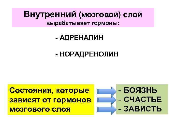Внутренний (мозговой) слой вырабатывает гормоны: - АДРЕНАЛИН - НОРАДРЕНОЛИН Состояния, которые зависят от гормонов