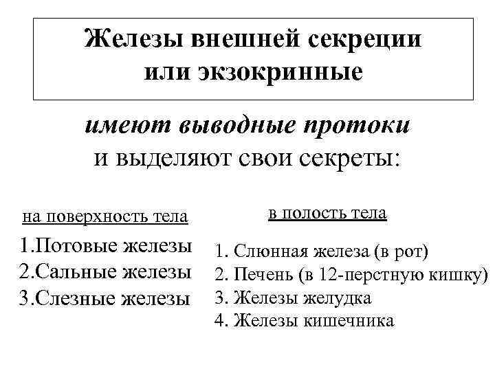 Железы внешней секреции или экзокринные имеют выводные протоки и выделяют свои секреты: на поверхность