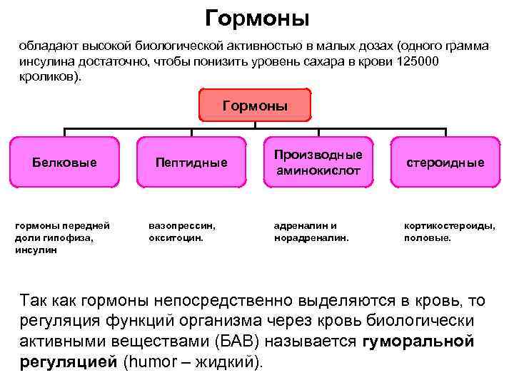 Гормоны обладают высокой биологической активностью в малых дозах (одного грамма инсулина достаточно, чтобы понизить