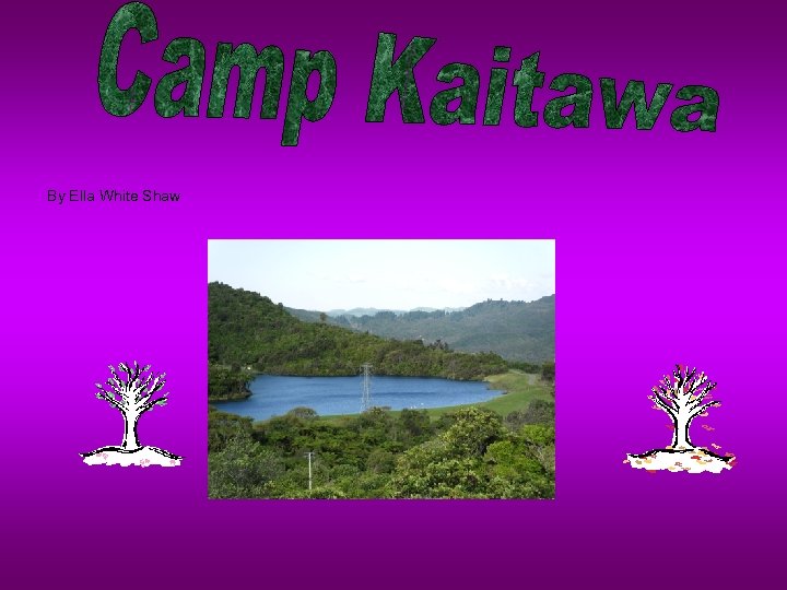 s By Ella White Shaw 