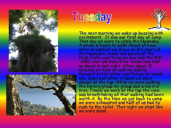 The next morning we woke up buzzing with excitement. It was our first day