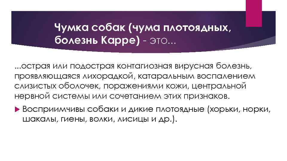 Чумка собак (чума плотоядных, болезнь Карре) - это. . . острая или подострая контагиозная