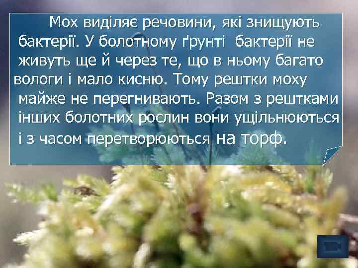 Мох виділяє речовини, які знищують бактерії. У болотному ґрунті бактерії не живуть ще й