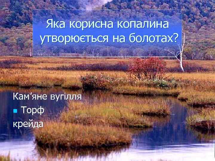 Яка корисна копалина утворюється на болотах? Кам’яне вугілля n Торф крейда 