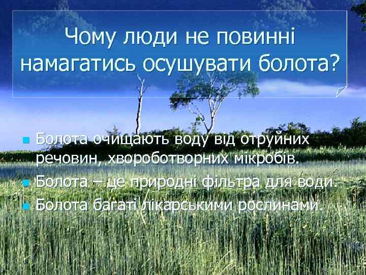 Чому люди не повинні намагатись осушувати болота? n n n Болота очищають воду від