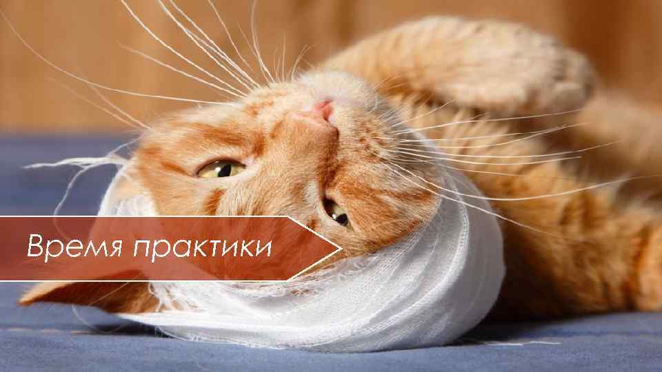 Время практики 