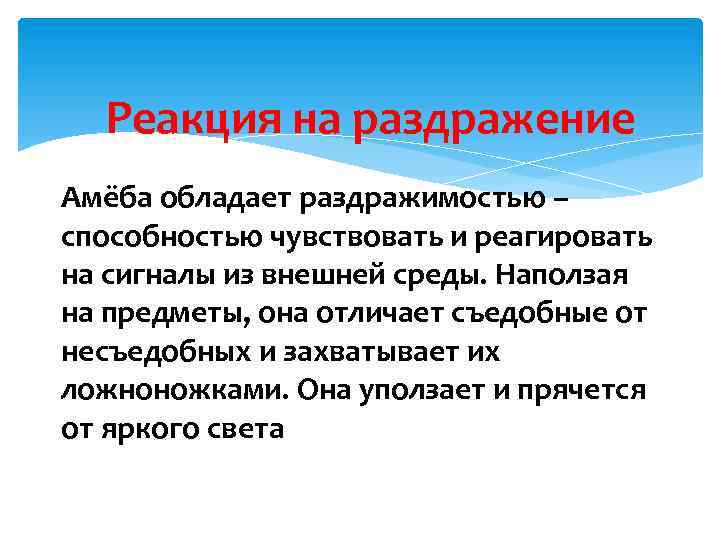 Реакция на раздражение Амёба обладает раздражимостью – способностью чувствовать и реагировать на сигналы из