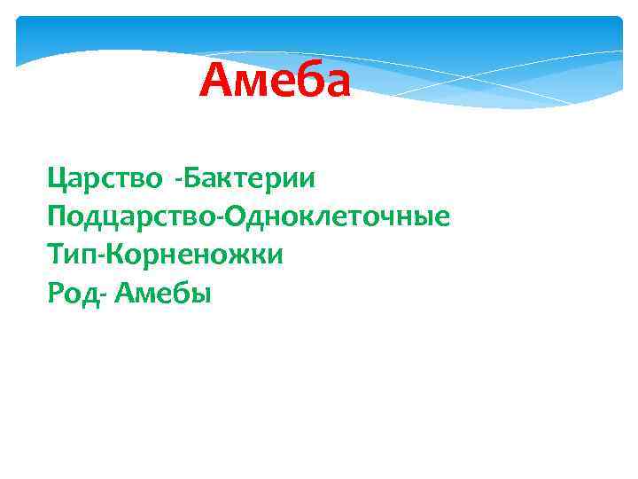 Амеба Царство -Бактерии Подцарство-Одноклеточные Тип-Корненожки Род- Амебы 