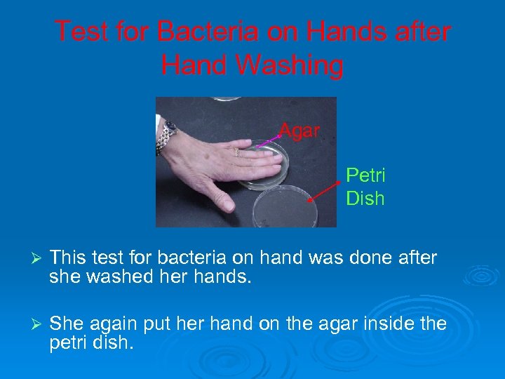 Test for Bacteria on Hands after Hand Washing Agar Petri Dish Ø This test