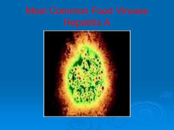 Most Common Food Viruses Hepatitis A 