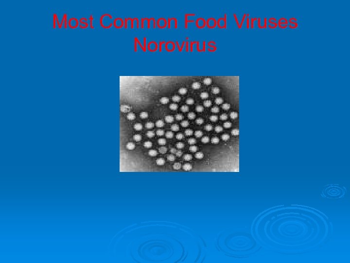 Most Common Food Viruses Norovirus 