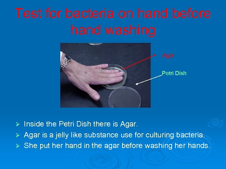 Test for bacteria on hand before hand washing Agar Petri Dish Inside the Petri