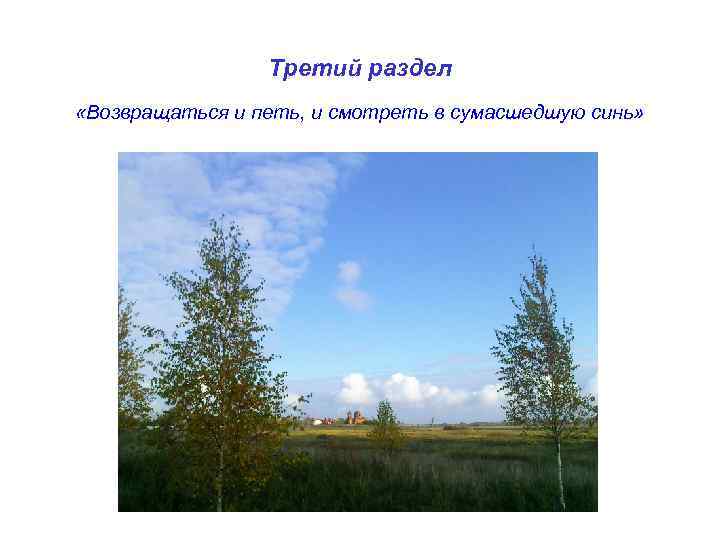 Третий раздел «Возвращаться и петь, и смотреть в сумасшедшую синь» 