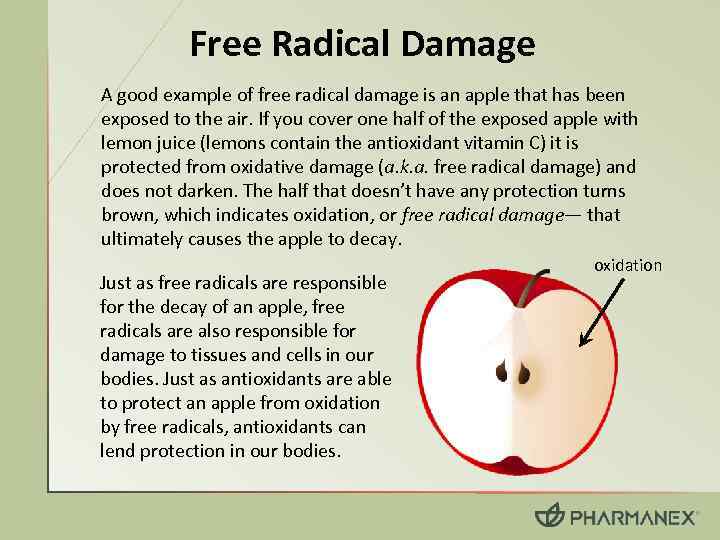 Free Radical Damage A good example of free radical damage is an apple that