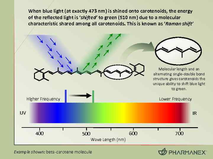 When blue light (at exactly 473 nm) is shined onto carotenoids, the energy of