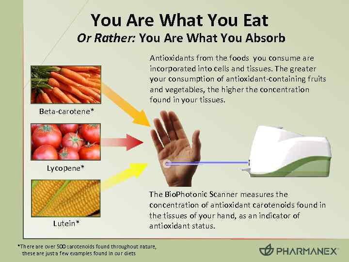 You Are What You Eat Or Rather: You Are What You Absorb Antioxidants from