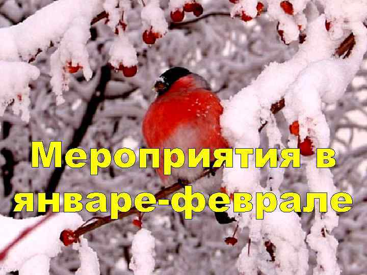 Мероприятия в январе-феврале 