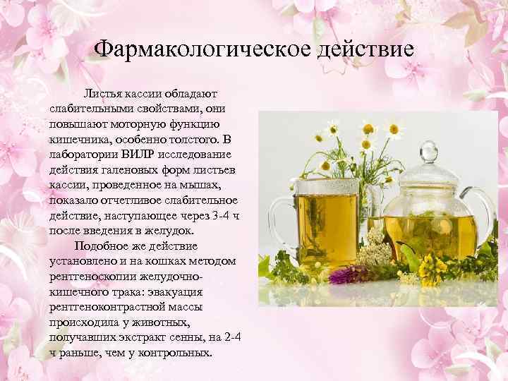  Фармакологическое действие Листья кассии обладают слабительными свойствами, они повышают моторную функцию кишечника, особенно