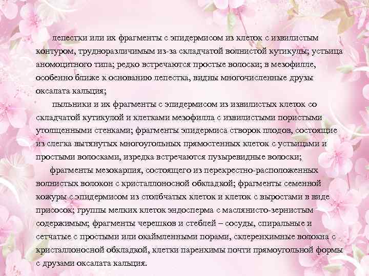  лепестки или их фрагменты с эпидермисом из клеток с извилистым контуром, трудноразличимым из