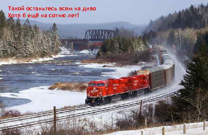 Такой останьтесь всем на диво Хотя б ещё на сотню лет! 