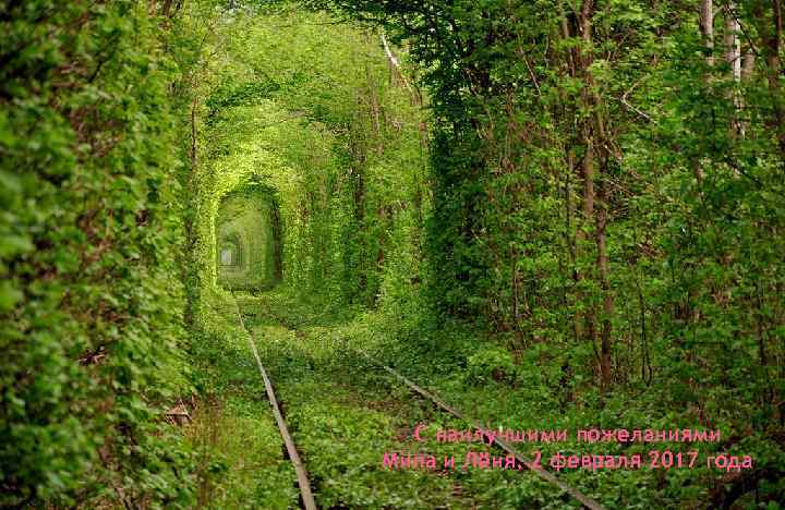 С наилучшими пожеланиями Мила и Лёня, 2 февраля 2017 года 