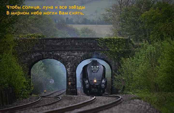 Чтобы солнце, луна и все звёзды В мирном небе могли Вам сиять, 