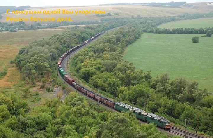 С присущим одной Вам упорством Решали большие дела. 
