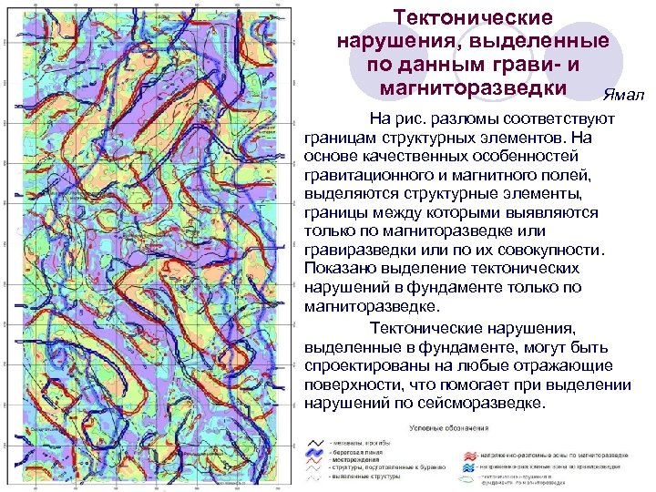 Тектонические нарушения, выделенные по данным грави- и магниторазведки Ямал На рис. разломы соответствуют границам