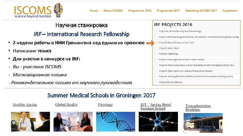 Научная стажировка IRF – International Research Fellowship • 2 недели работы в НИИ Гронингена