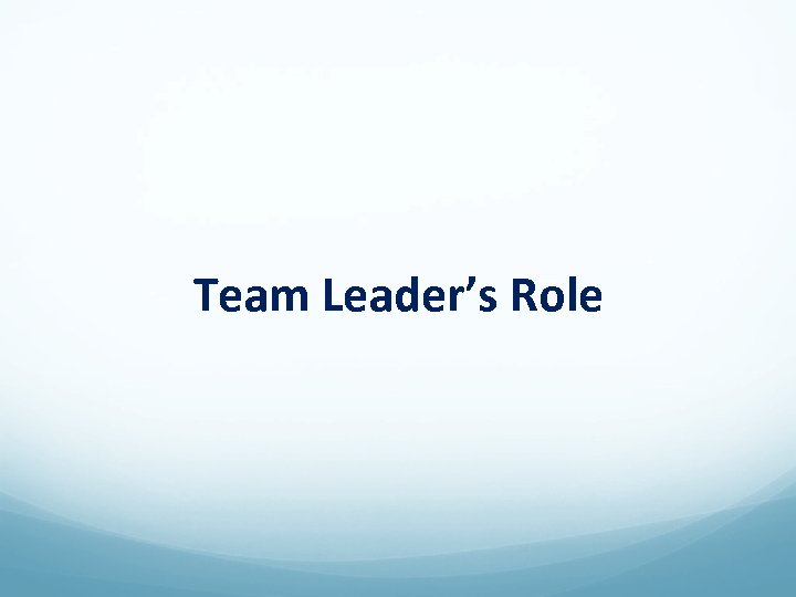 Team Leader’s Role 
