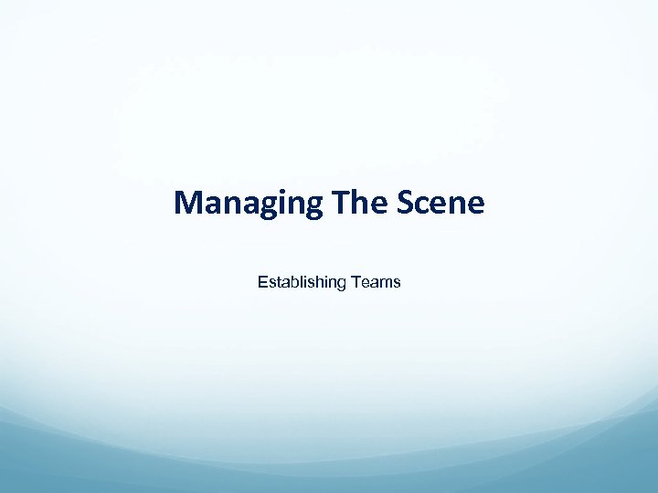 Managing The Scene Establishing Teams 