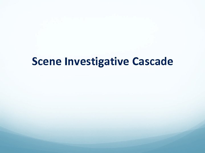 Scene Investigative Cascade 