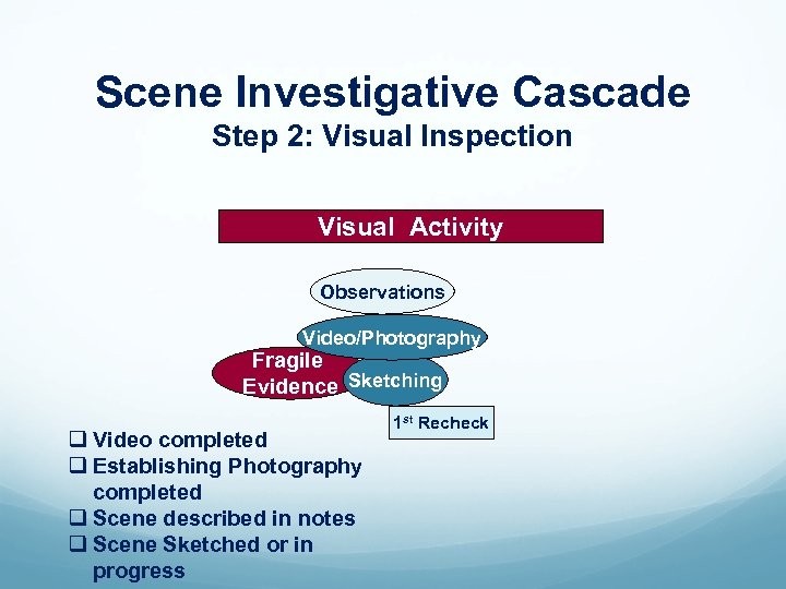 Scene Investigative Cascade Step 2: Visual Inspection Visual Activity Observations Video/Photography Fragile Evidence Sketching