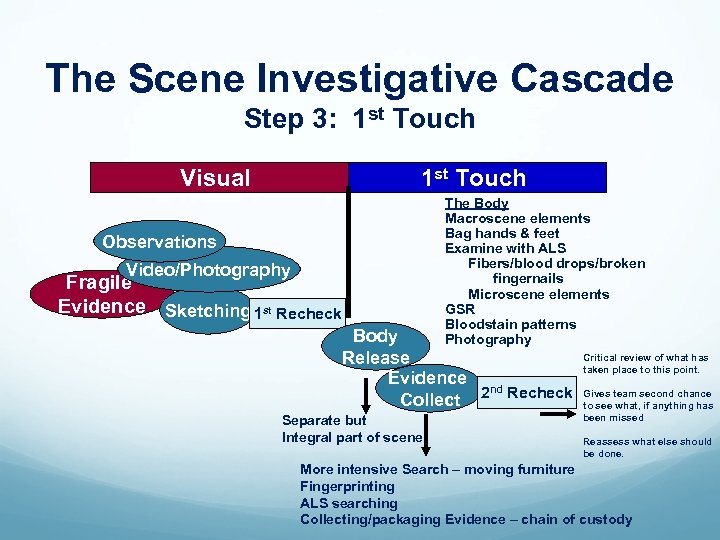 The Scene Investigative Cascade Step 3: 1 st Touch Visual 1 st Touch Observations