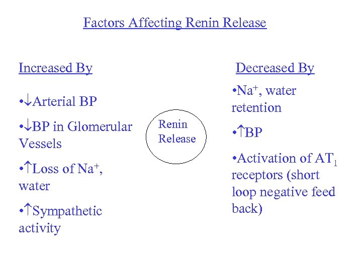 Factors Affecting Renin Release Increased By Decreased By • Na+, water retention • Arterial