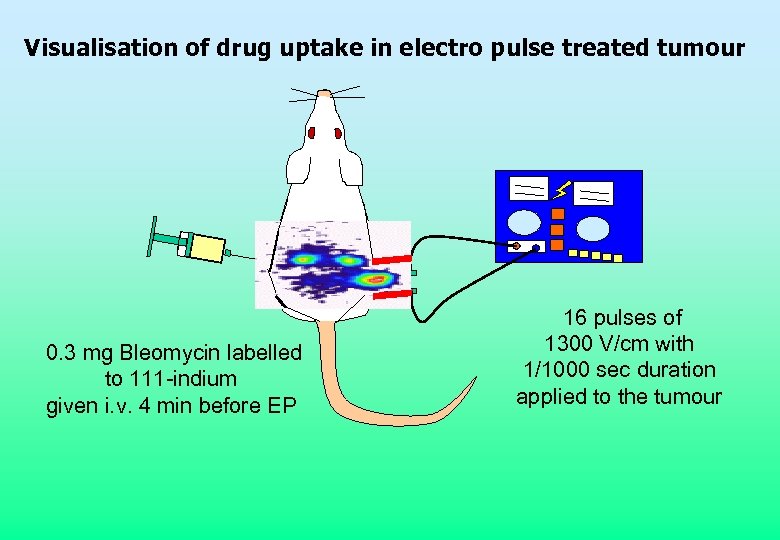 Visualisation of drug uptake in electro pulse treated tumour 0. 3 mg Bleomycin labelled