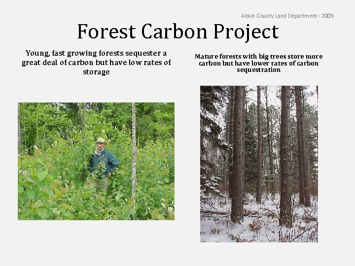Aitkin County Land Department - 2009 Forest Carbon Project Young, fast growing forests sequester