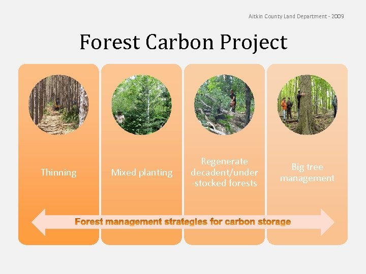 Aitkin County Land Department - 2009 Forest Carbon Project Thinning Mixed planting Regenerate decadent/under