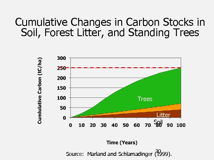 Cumulative Changes in Carbon Stocks in Soil, Forest Litter, and Standing Trees Litter Soil