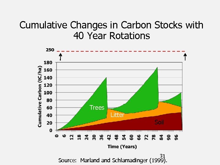 Cumulative Changes in Carbon Stocks with 40 Year Rotations 250 Trees Litter Soil 31