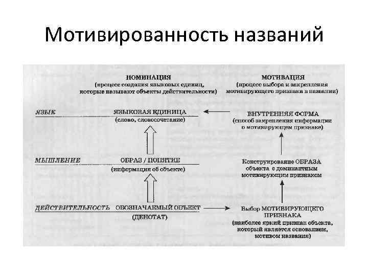Мотивированность названий 