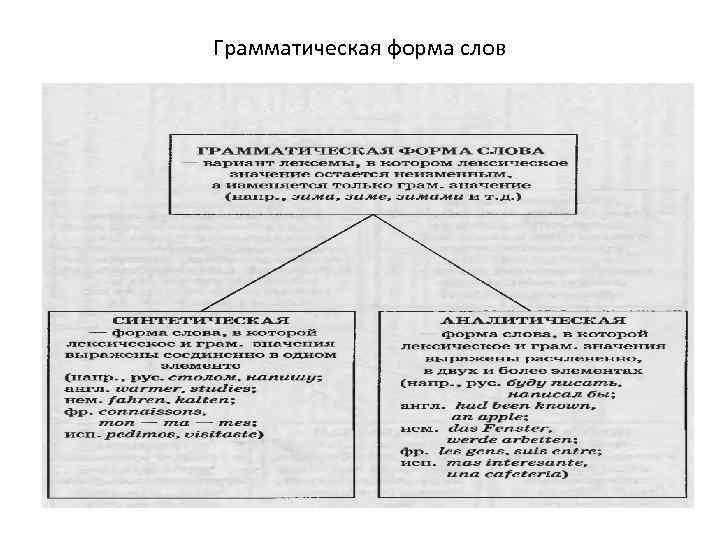 Грамматическая форма слов 