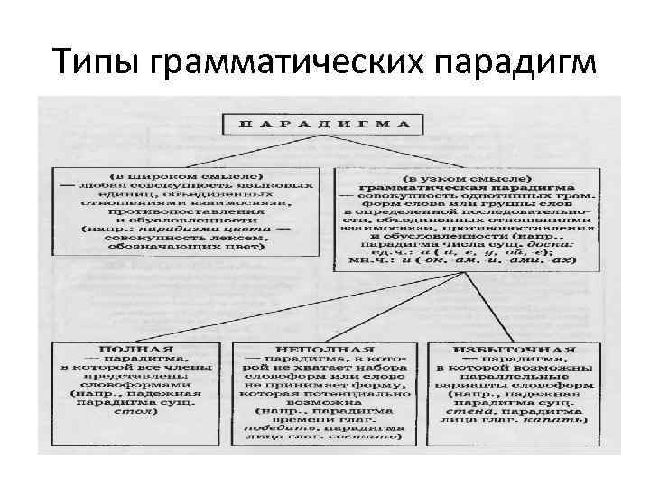 Типы грамматических парадигм 