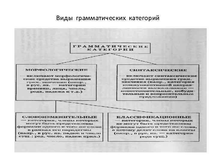  Виды грамматических категорий 
