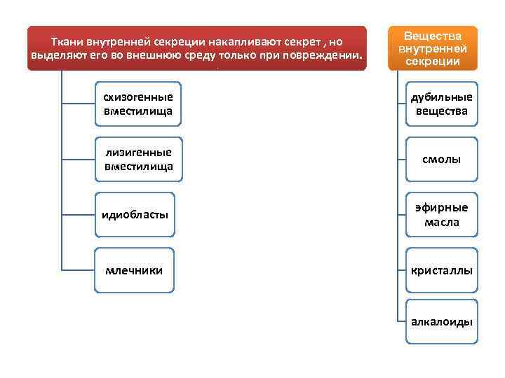 Вещества внутренней секреции. Структуры выделительных тканей внутренней секреции.. Выделительные ткани внешней и внутренней секреции. Выделительные ткани растений внутренней секреции кратко. Выделительные ткани наружной секреции функции.