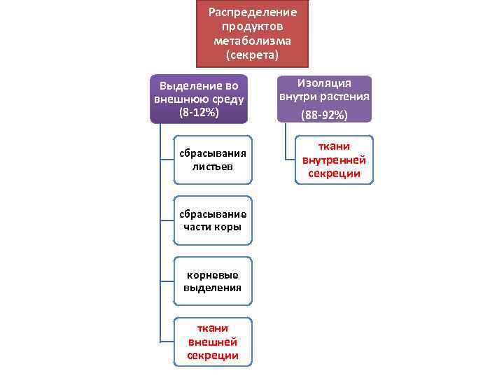 Распределение продуктов метаболизма (секрета) Выделение во внешнюю среду (8 -12%) Изоляция внутри растения (88