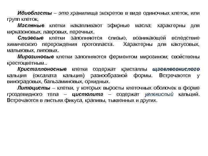 Идиобласты – это хранилища экскретов в виде одиночных клеток, или групп клеток, Масляные клетки