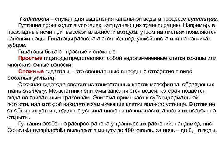  Гидатоды – служат для выделения капельной воды в процессе гуттации. Гуттация происходит в