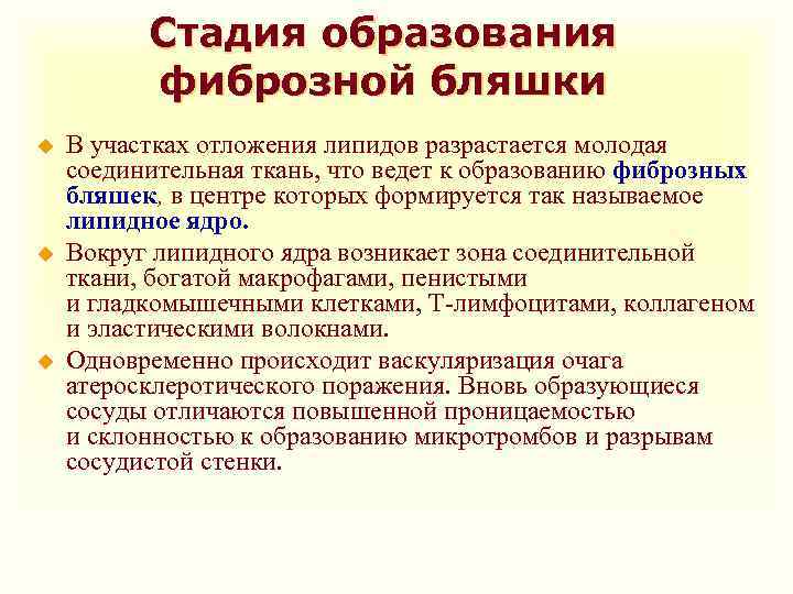 Стадия образования фиброзной бляшки u u u В участках отложения липидов разрастается молодая соединительная